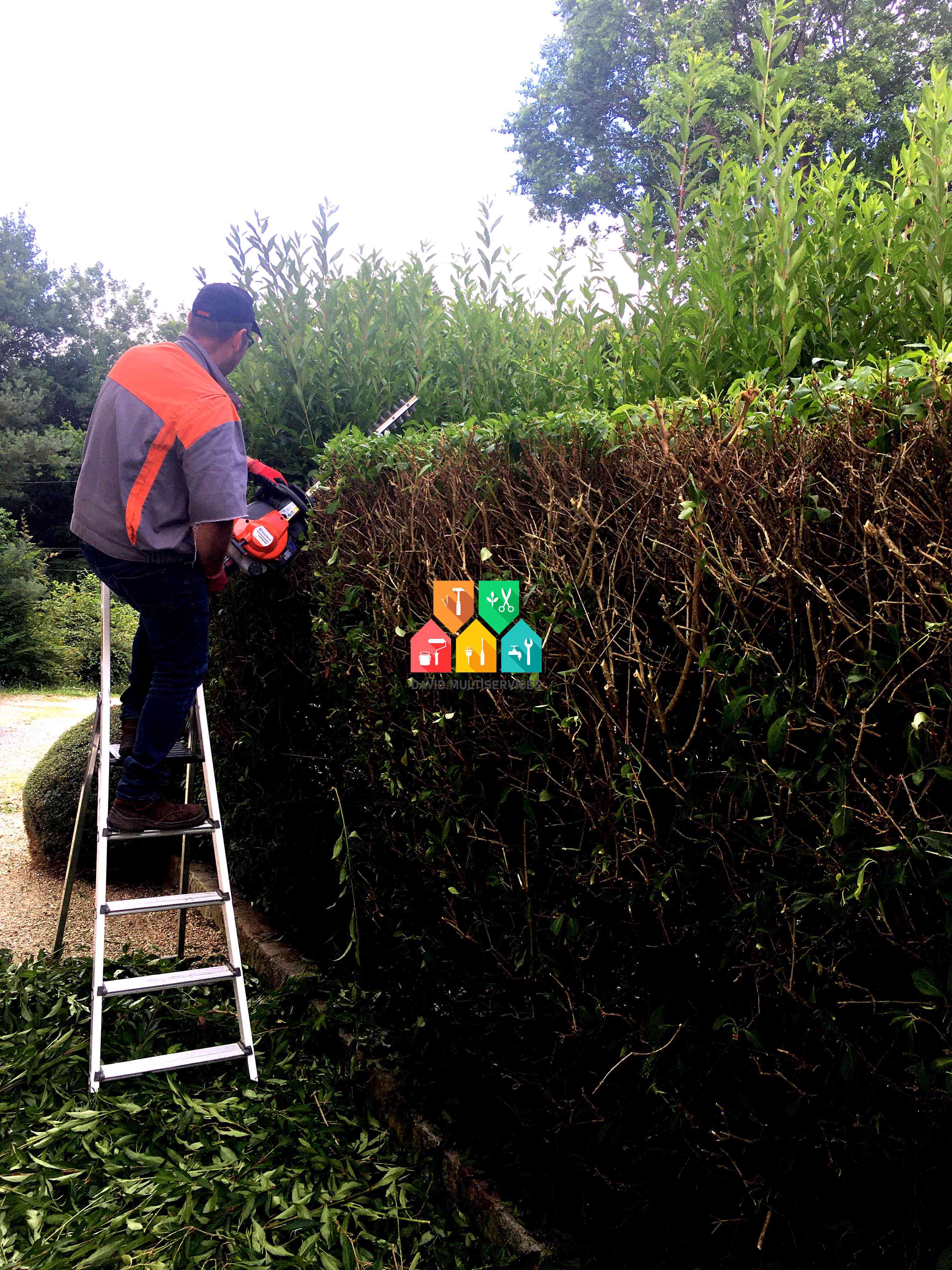Jardinier taille haie dans le var 83