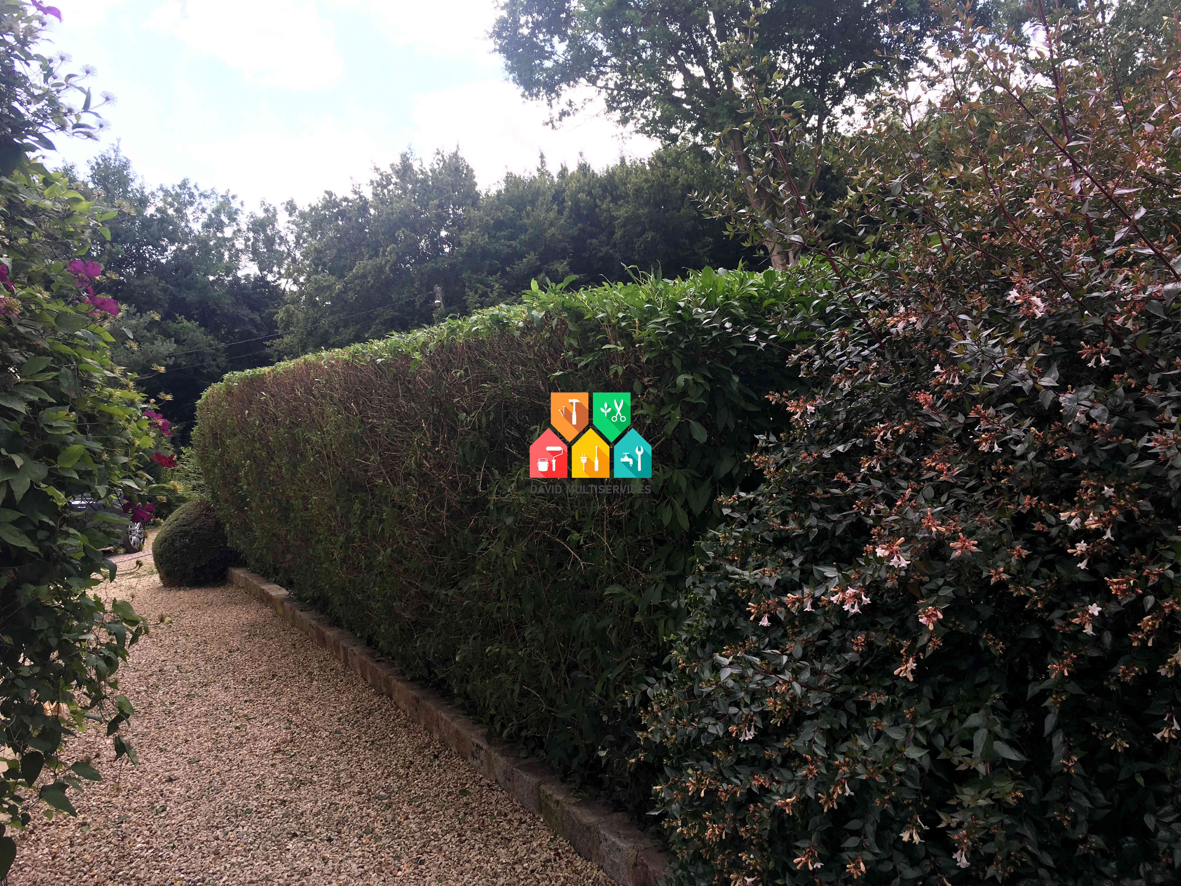 Jardinier taille haie dans le Var